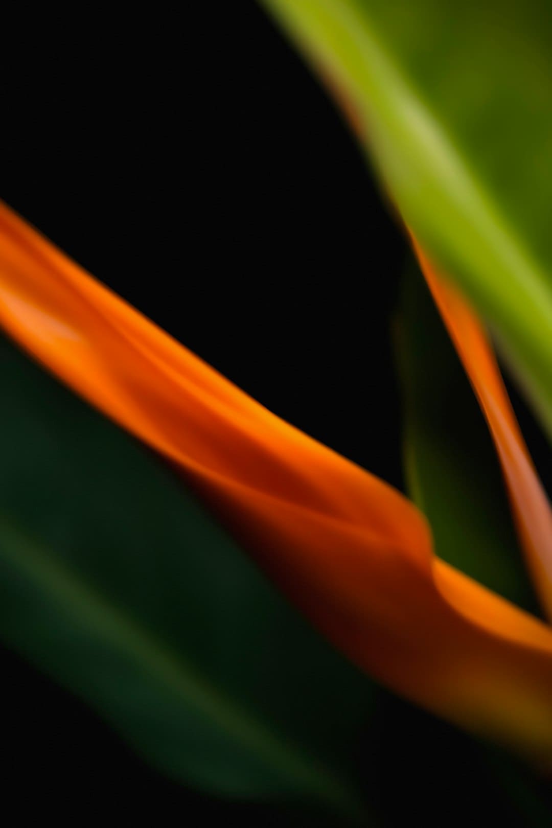 https://p1.img.cctvpic.com/photoworkspace/contentimg/2025/08/04/2025080416410450802.jpg